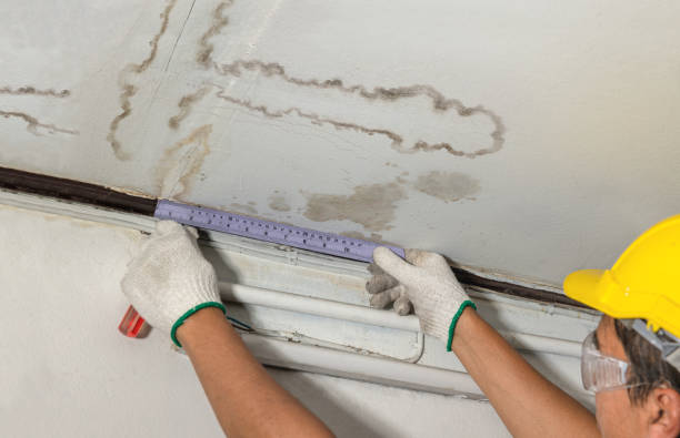 Reliable Water Removal contractor in Boerne, TX by Water Damage Irwin